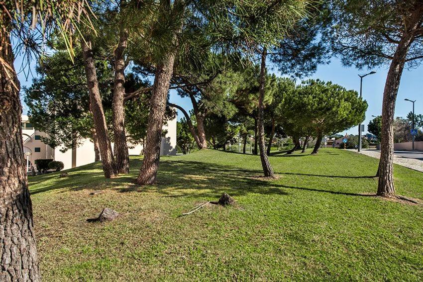 Casa Dos Salgados Apartment Guia  Exterior photo